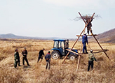 Installing artificial nesting towers prior to the spring breeding season (Sanjiang Plain)