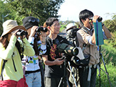 多摩川で鳥を観察する調査参加者