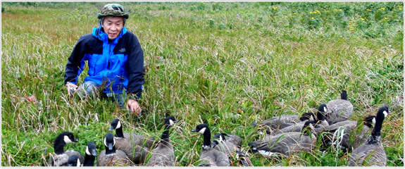 日本雁を保護する会会長の呉地正行さん(2010年9月　エカルマ島　撮影/日本雁を保護する会)
