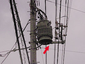 矢印を入れた電柱のトランスの下に巣をつくる