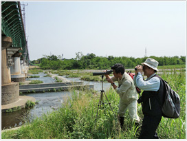 多摩川で調査する参加者たち